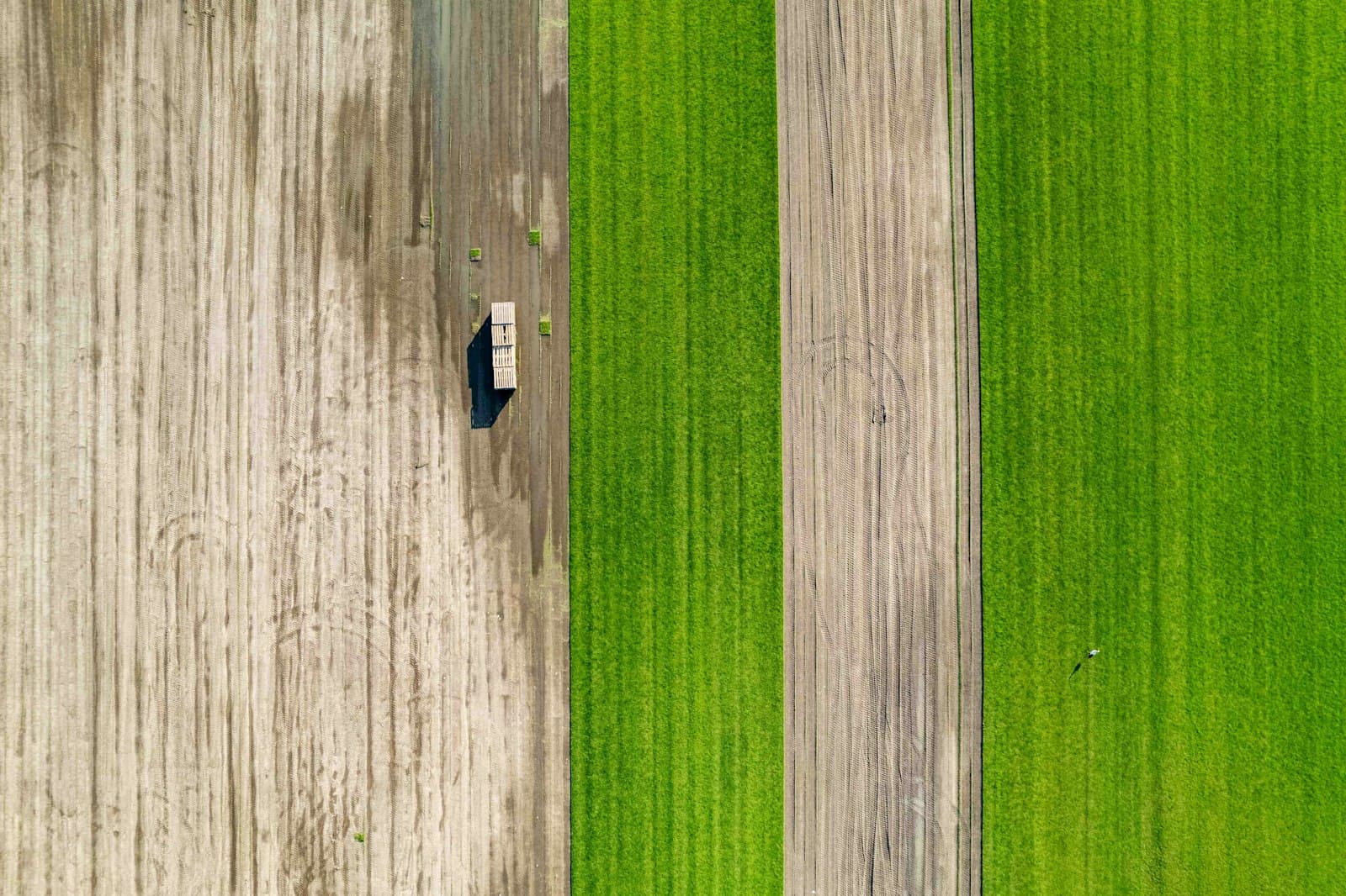 Aerial view of a farm field with equipment tracks